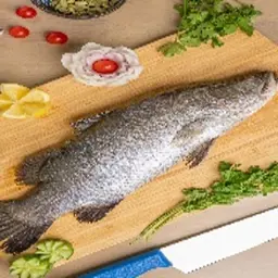 Fish Seabass